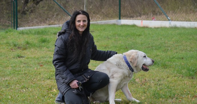 Jana Jirásková dává domov na dožití starým, nemocným psům. "Je to životní styl," říká