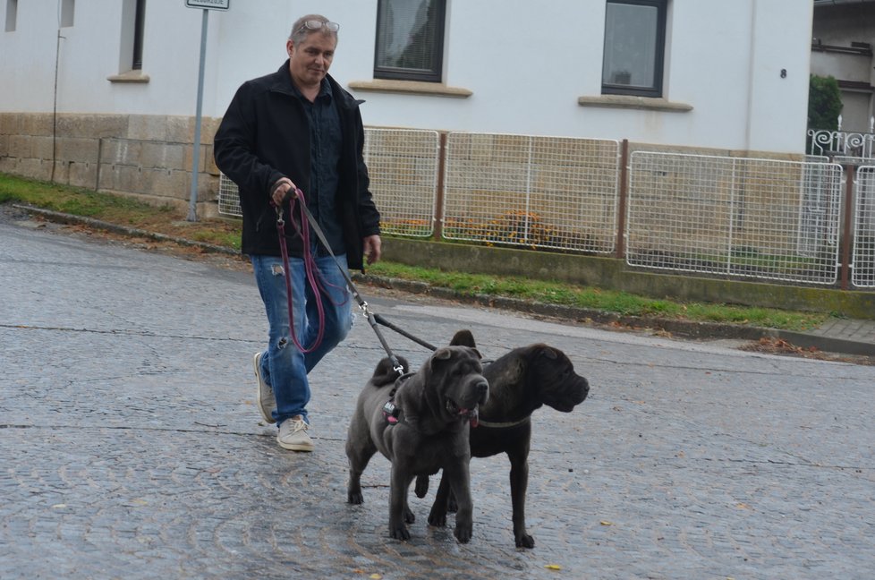 Petr Fajgl má oba psy v dočasné péči už půl roku