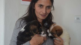 Předsedkyně spolku Kateřina Ondičová se dvěma ze čtyř štěňat, která se podařilo zachránit