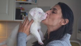 Předsedkyně spolku Kateřina Ondičová s jedním ze čtyř štěňat, která se podařilo zachránit