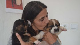 Předsedkyně spolku Kateřina Ondičová se dvěma ze čtyř štěňat, která se podařilo zachránit