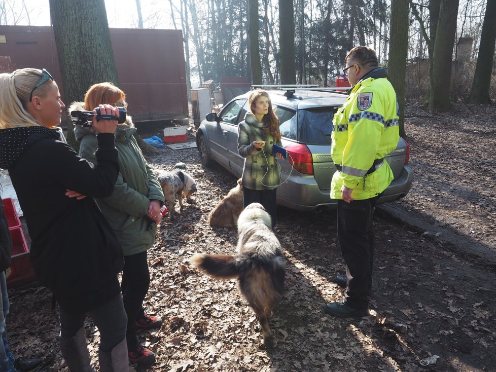 Přítel chovatelky zavolal na reportéry městskou policii