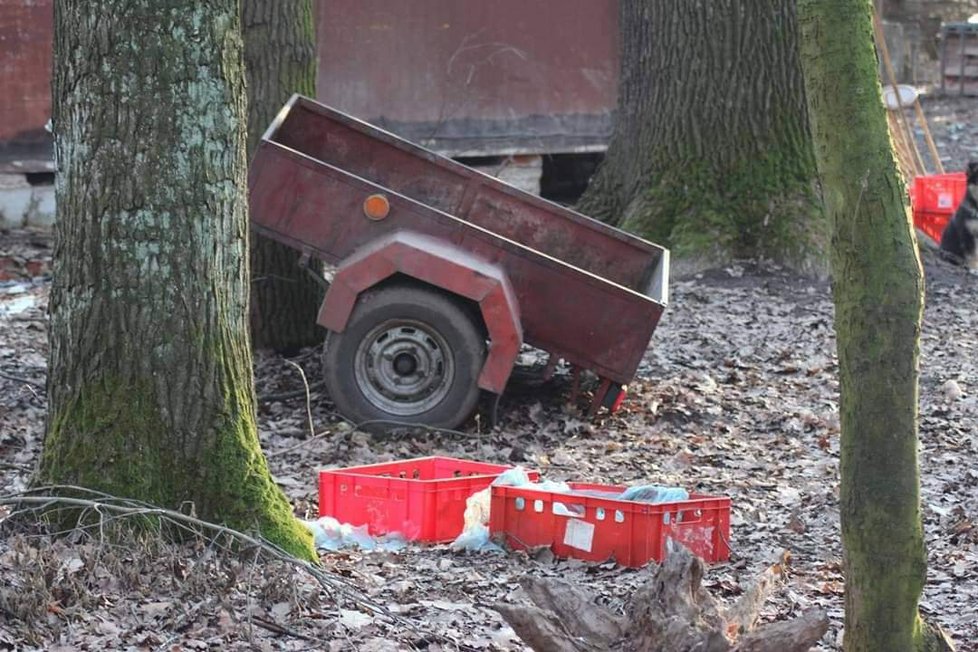 Na místo se vyjeli podívat i zvířecí záchranáři. I těm se to, co viděli, nelíbilo