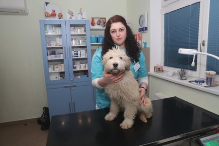 Na veterinární klinice VetHope se Arga ujala a vyšetřila ho MVDr. Barbora Olejárová