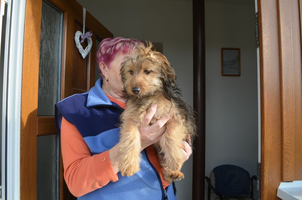Sousedka ukázala reportérkám štěně, které si nově vzala od Škrabanových.