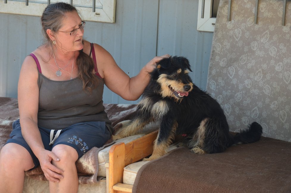 Roztomilý kříženec Fuli byl podle majitelů agresívní. V útulku se z něj stal mazlík, který si užívá nově nabyté svobody