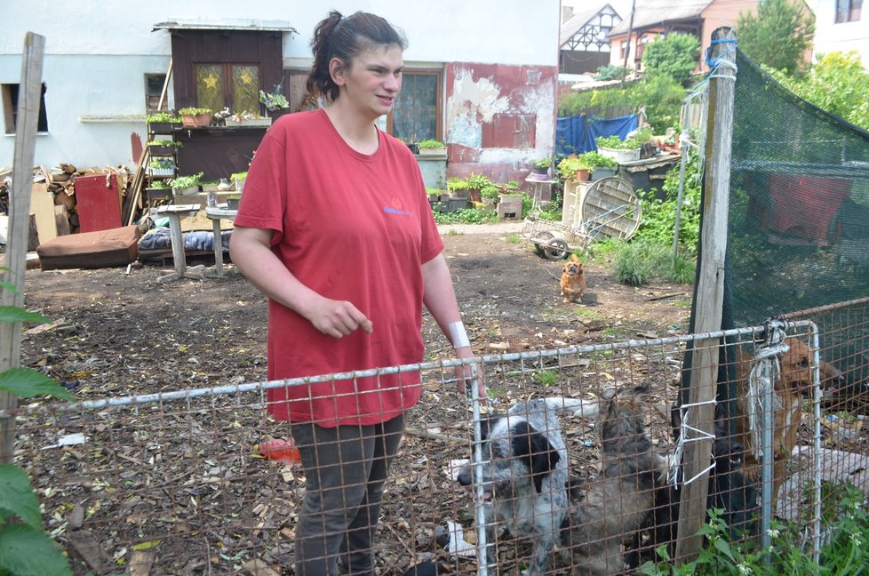 Štěpánka Bartoníčková už ví, že se některých psů bude muset vzdát.