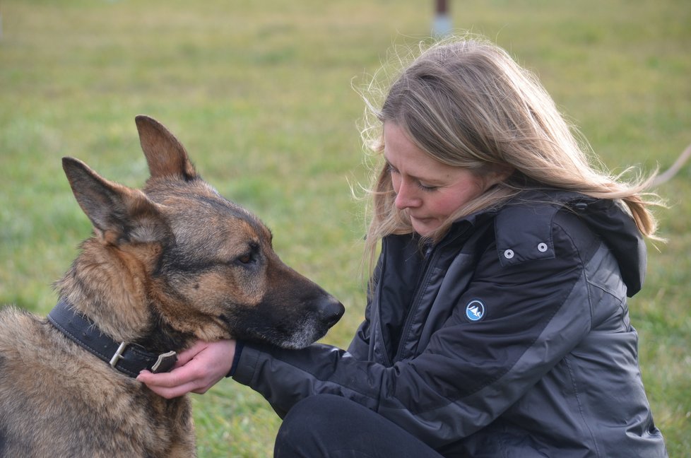 Dva německé ovčáky, včetně Bena s amputovanou nohou, svěřila Dagmar Harigelová cvičitelce z Anidefu, ovšem pod podmínkou, že je neadoptuje nikdo další