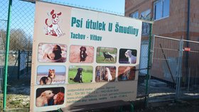 Nová budova vyrostla v těsném sousedství stávajícího útulku