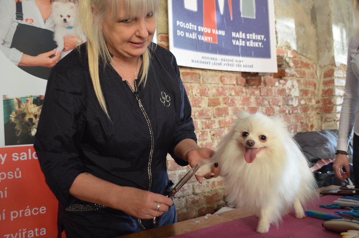 Během akce mohli účastníci nechat své miláčky zkrášlit