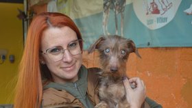 Nejhůře je na tom pejsek Brexa, je slepý a bez srsti, ukázala vedoucí útulku Gabriela Jägerová.