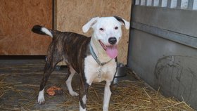 Psychicky je na tom nejhůře Tarja, která zřejmě nikdy nebyla venku.