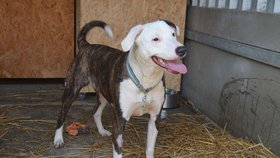 Psychicky je na tom nejhůře Tarja, která zřejmě nikdy nebyla venku.