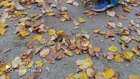 Anička s novou paničkou