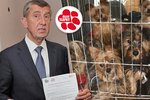 Premiér Andrej Babiš (ANO) slíbil, že tentokrát už podpoří zpřísnění trestů pro tyrany zvířat. (24. 2. 2020)