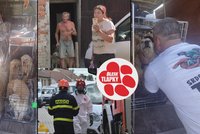 První psi odebraní z odrovické množírny jsou už v náhradní péči. Jsou hubení, nemocní a plaší