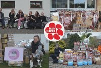 Díky vám jsme rozdali krmení za 2,5 milionu! Blesk tlapky rozjíždějí novou sbírku: Naplníme další misky?