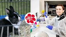 Kontroverzní vědkyně Peková má problém? Posílala králíky na smrt!