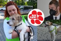 Šílený medik málem Artuše utýral. Veterinářka u soudu popsala hrůznou „léčbu“