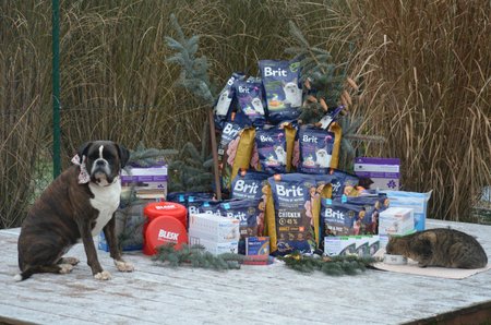 Winners can look forward to a package of prizes with premium Brit feeds and NexGard antiparasitic.  They are watched over by Blesk, Miss Maggie's boxer pressure adopter and cat Mánička