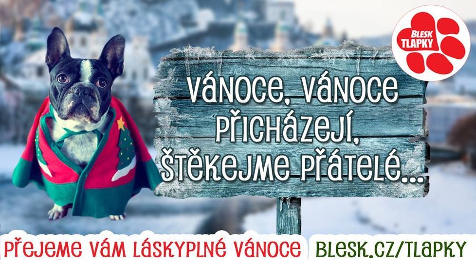 Blesk tlapky myslí na vaše mazlíčky i o Vánocích.