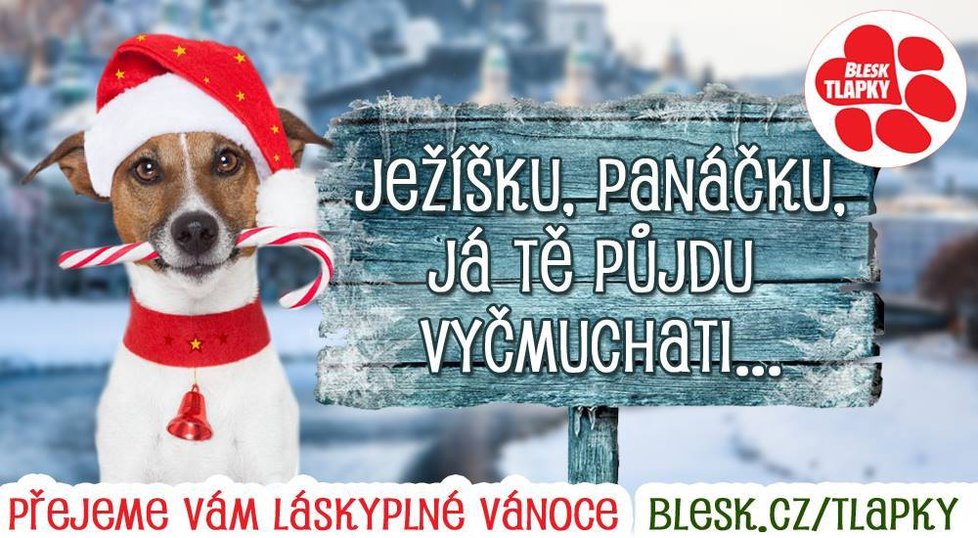 Blesk tlapky myslí na vaše mazlíčky i o Vánocích.