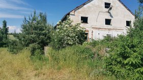Tento statek přestavují dobrovolníci na nové centrum pro nemocná, handicapovaná a týraná zvířata.