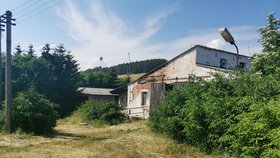 Tento statek přestavují dobrovolníci na nové centrum pro nemocná, handicapovaná a týraná zvířata.