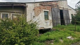 Tento statek přestavují dobrovolníci na nové centrum pro nemocná, handicapovaná a týraná zvířata.