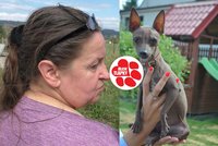 Problémová chovatelka měla ubrat psy, místo toho přibyl další! Porušila i zákon proti týrání