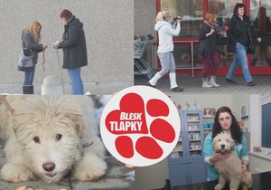 Blesk tlapky usvědčily množitelku ze Světnova z překupnictví. Koupily od ní štěně, o kterém tvrdila, že ho má pro radost