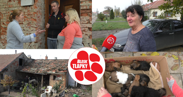 Rodina z Vlasatic už znovu množí psy, o předchozích 58 se postaraly spolky. Obec to netrápí
