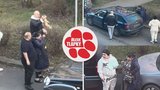 Surové bití štěněte, křik a cloumání ve vzduchu. Video tyrana předaly Blesk tlapky policii