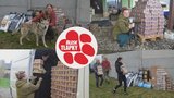 Další várka krmiva Marp už je v útulcích. Pochutnají si chrti i psi a kočky z Třebíče