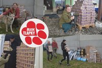 Další várka krmiva Marp už je v útulcích. Pochutnají si chrti i psi a kočky z Třebíče