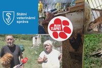 Potvrzeno: Blesk tlapky odhalily množírnu! Zvířata živořila ve tmě a bez vody. Co podniknou úřady?