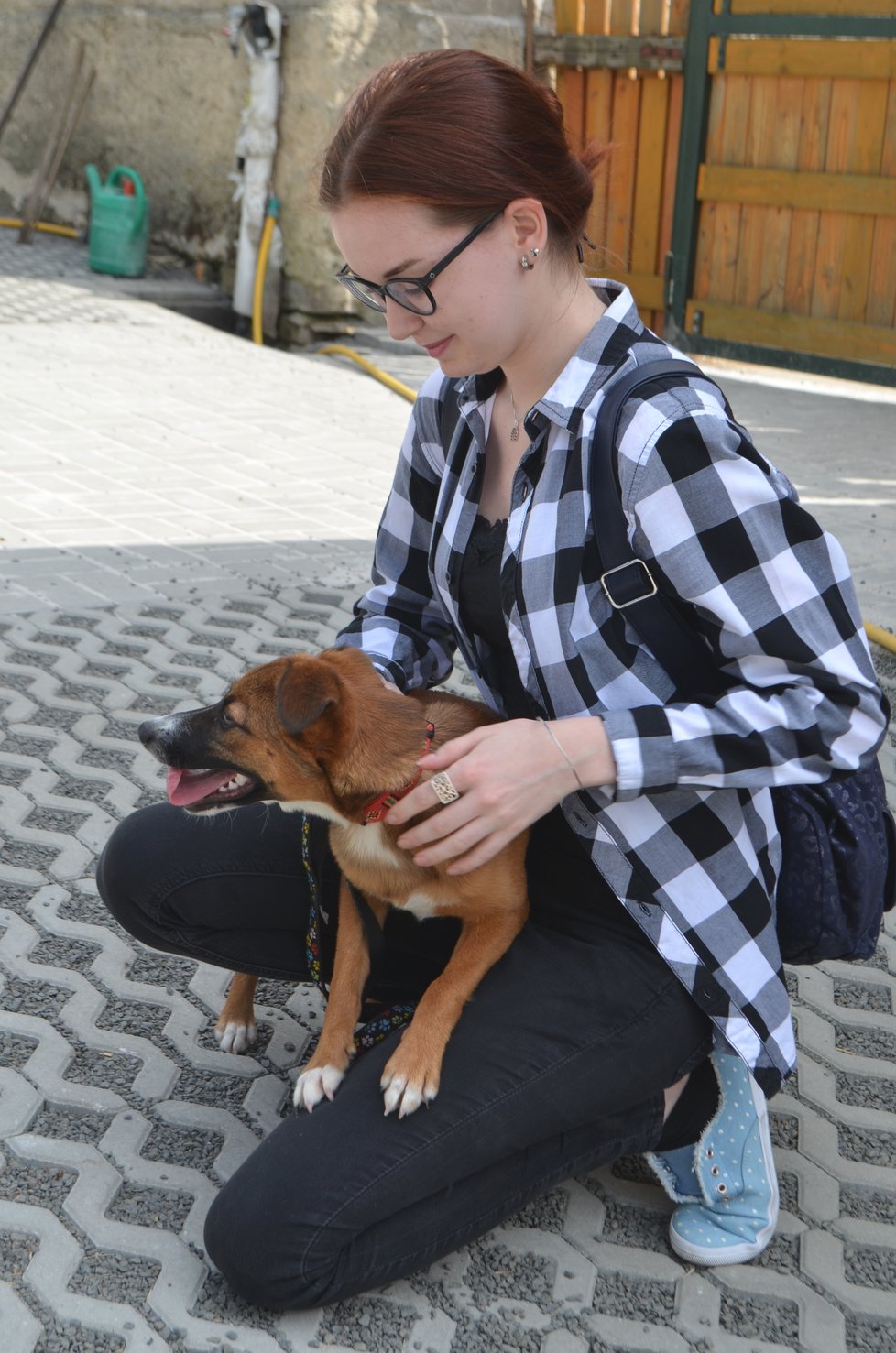 Kety je velice temperamentní přátelstké štěně, ke každé návštěvě se radostně vrhá