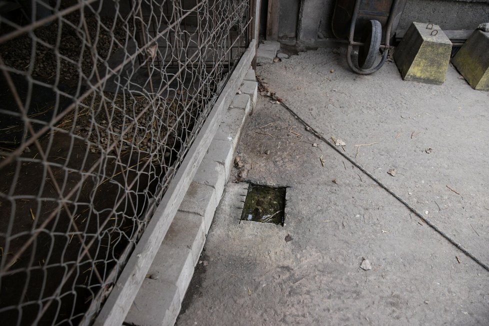 Pes u hlavního vjezdu do areálu se může napít z díry vysekané v betonu. Jiný přístup k vodě nemá.