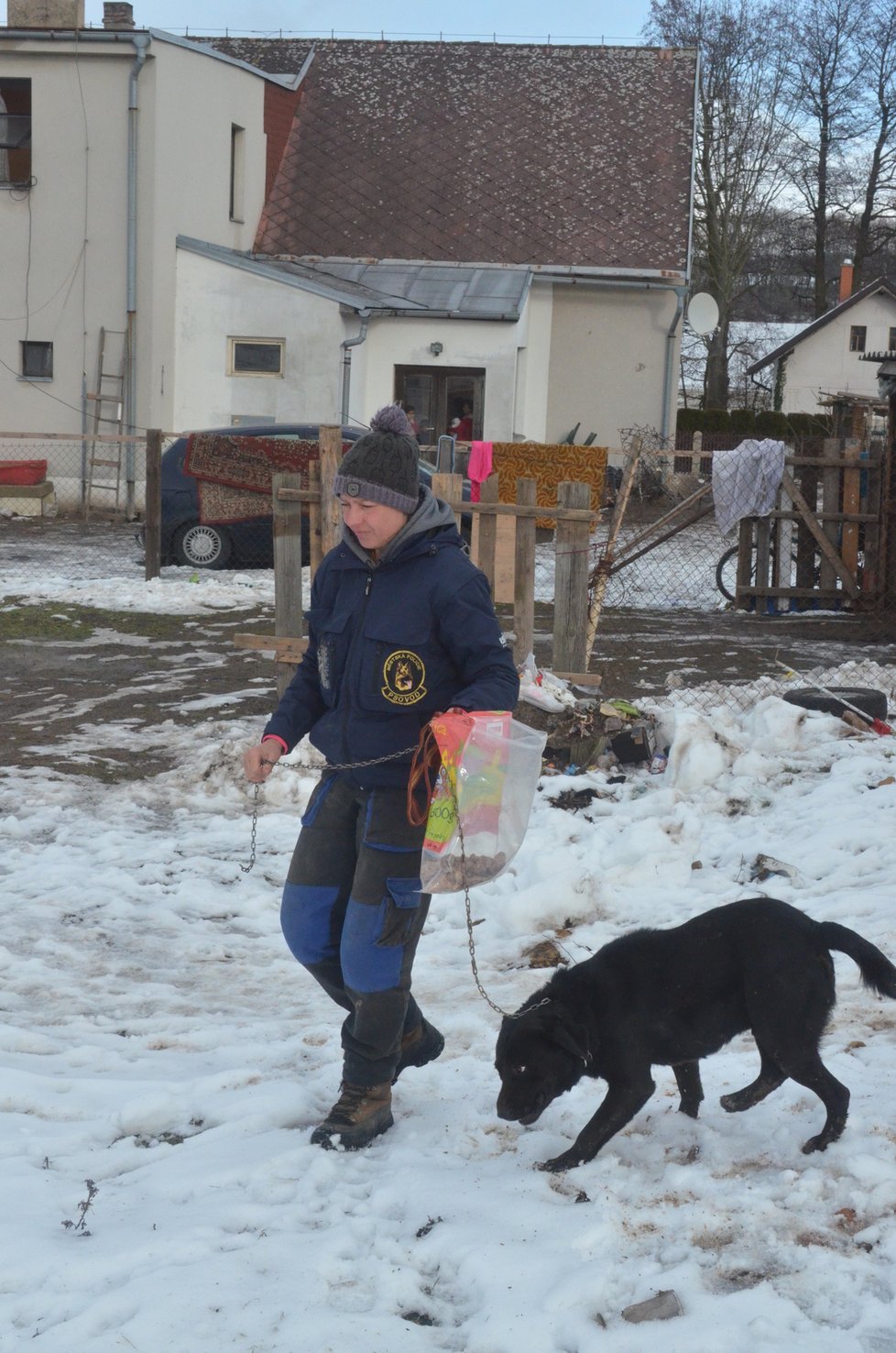 Vedoucí jičínského útulku Ivana Kašpárková s odebraným křížencem labradora v obci Sběř, kde žil v nevyhovujících podmínkách uvázaný venku na krátkém řetězu u stromu