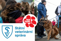 Češi zachraňují z válkou zmítané Ukrajiny i zvířata. Pozor na vzteklinu, varují veterináři