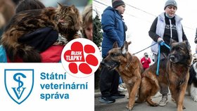 spoj převoz zvířat z Ukrajiny