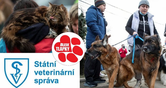 spoj převoz zvířat z Ukrajiny