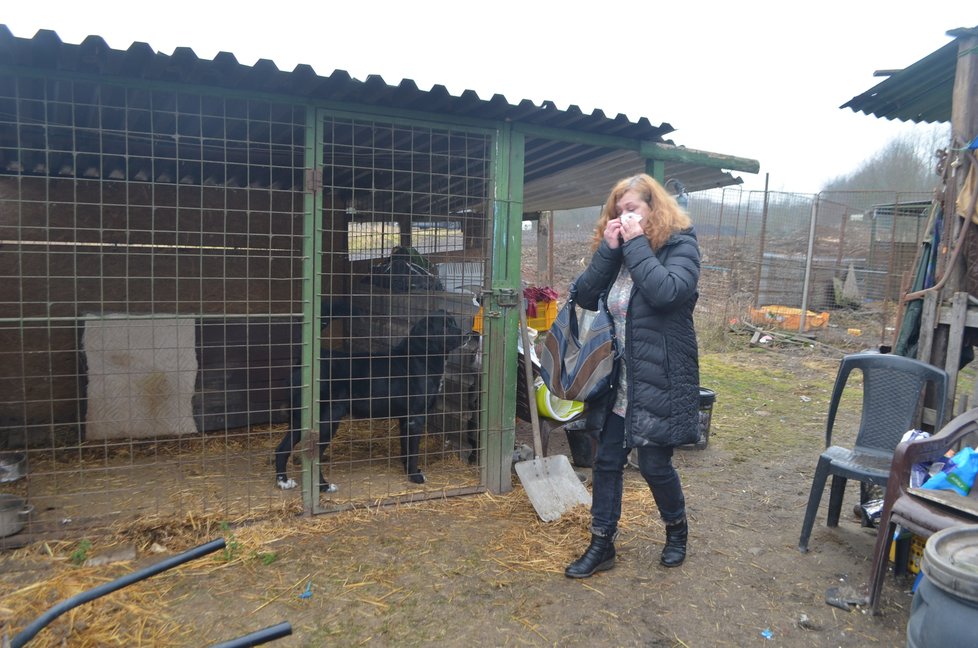 Hana Zuláková, která v útulku pomáhala 7 let, se při pohledu na psy zavřené v kotcích neubránila slzám