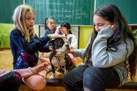 Děti pomohly opuštěným psům. K Vánocům jim předaly tašky granulí, konzerv i hraček