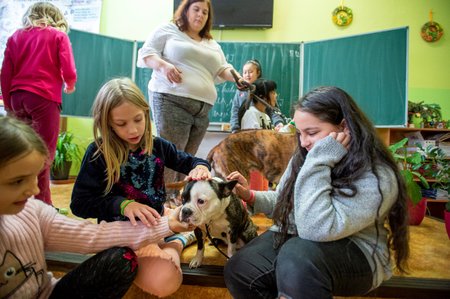 Děti se mohly s několika adoptovanými psy pomazlit.