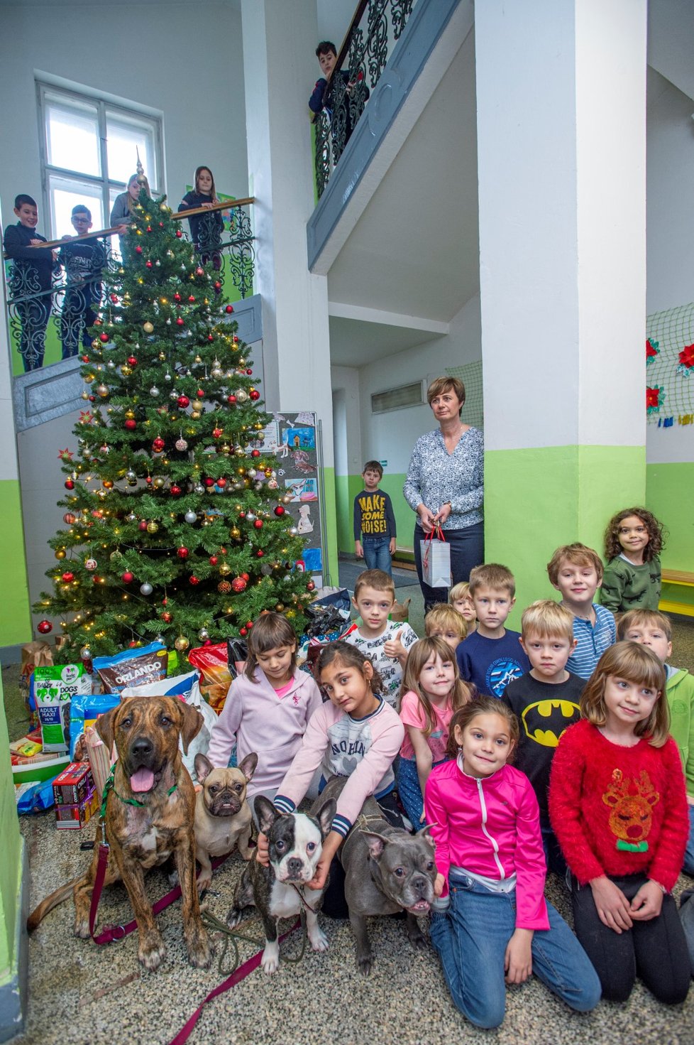 Zvířecí záchranáři si dárky pro opuštěné psy převzali od dětí  ve škole u vánočního stromku.