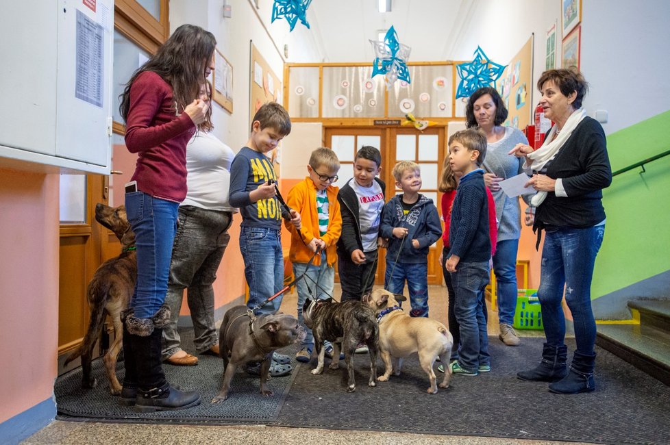 Zástupci záchranných spolků si s dětmi povídali o své dobrovolnické práci, o množírnách a řeč přišla i na to, že pes není vhodný vánoční dárek.