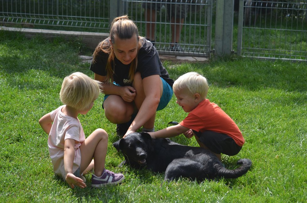 „Viky se hodí k dětem,“ ukázala Michaela Zemánková z útulku Dogpoint