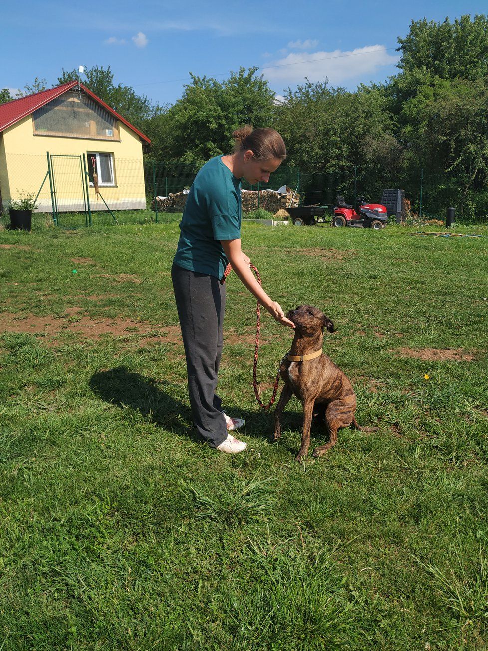 Spajk je nevybitý, potřebuje vyrovnaného klidného člověka, který s ním bude umět pracovat