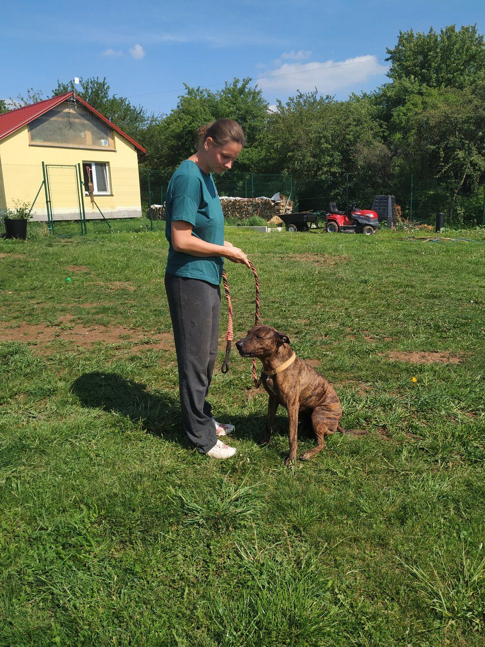 Spajk je nevybitý, potřebuje vyrovnaného klidného člověka, který s ním bude umět pracovat